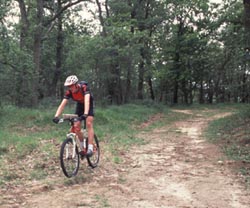 track.jpg (250�~208)