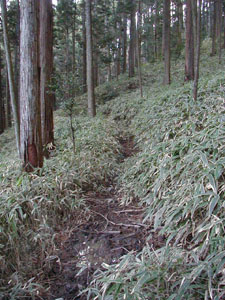 bad_path.JPG (225�~300)