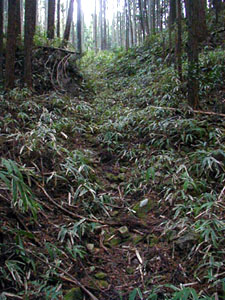 bad_path2.JPG (225�~300)