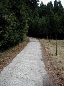 good_track.JPG (225�~300)