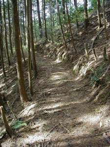 middle_path.JPG (225�~300)