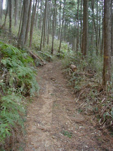 middle_path2.JPG (225�~300)