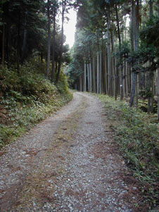middle_track.JPG (226�~301)