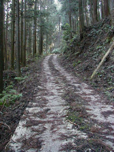 middle_track2.JPG (225�~300)