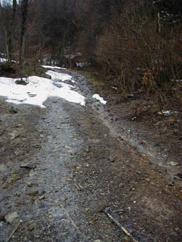 no_2.jpg (263�~350)