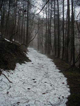 no_2_snow.jpg (263�~350)