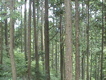 DSC00922.JPG
