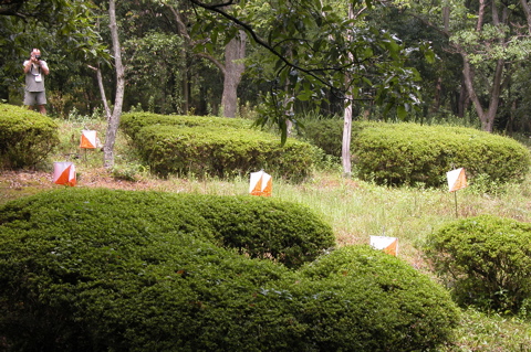 dc081019