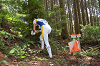DSC_0017_thumb.png