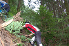 DSC_0031_thumb.png