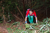 DSC_0088_thumb.png