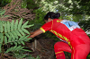 DSC_0096_thumb.png