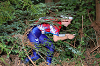 DSC_0097_thumb.png