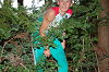 DSC_0140_thumb.png