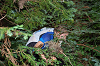 DSC_0166_thumb.png