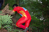 DSC_0176_thumb.png