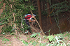 DSC_0198_thumb.png