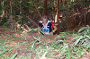 DSC_0524_thumb.png