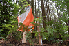 DSC_0545_thumb.png