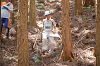 DSC_0674_thumb.png