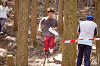 DSC_0733_thumb.png
