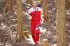 DSC_0760_thumb.png