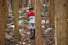 DSC_0781_thumb.png