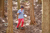 DSC_0795_thumb.png