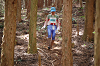 DSC_0801_thumb.png