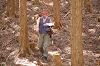 DSC_0813_thumb.png
