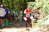 DSC_0216_thumb.png