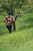 Dsc_0343_thumb.png