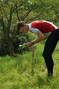 Dsc_0555_thumb.png