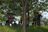 DSC_0709_thumb.png