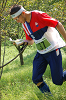 Dsc_0673_thumb.png