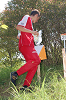 Dsc_0724_thumb.png