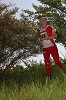 Dsc_0736_thumb.png