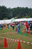 Dsc_0359_thumb.png