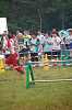 Dsc_0479_thumb.png