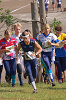 Dsc_0010_thumb.png