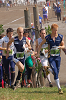 Dsc_0079_thumb.png