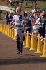 Dsc_0094_thumb.png