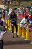 Dsc_0095_thumb.png
