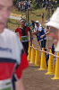 Dsc_0302_thumb.png