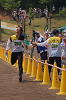 Dsc_0336_thumb.png