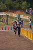 Dsc_0343_thumb.png