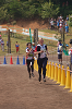 Dsc_0344_thumb.png