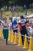 Dsc_0393_thumb.png
