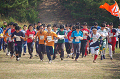 DSC_0015_thumb.png
