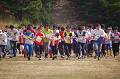 DSC_0033_thumb.png